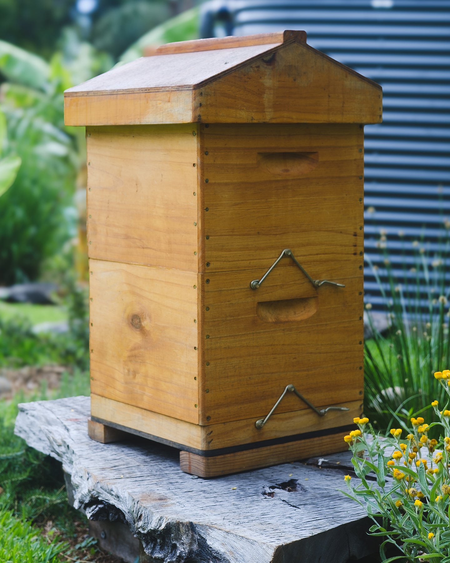 Traditional Langstroth Beehive