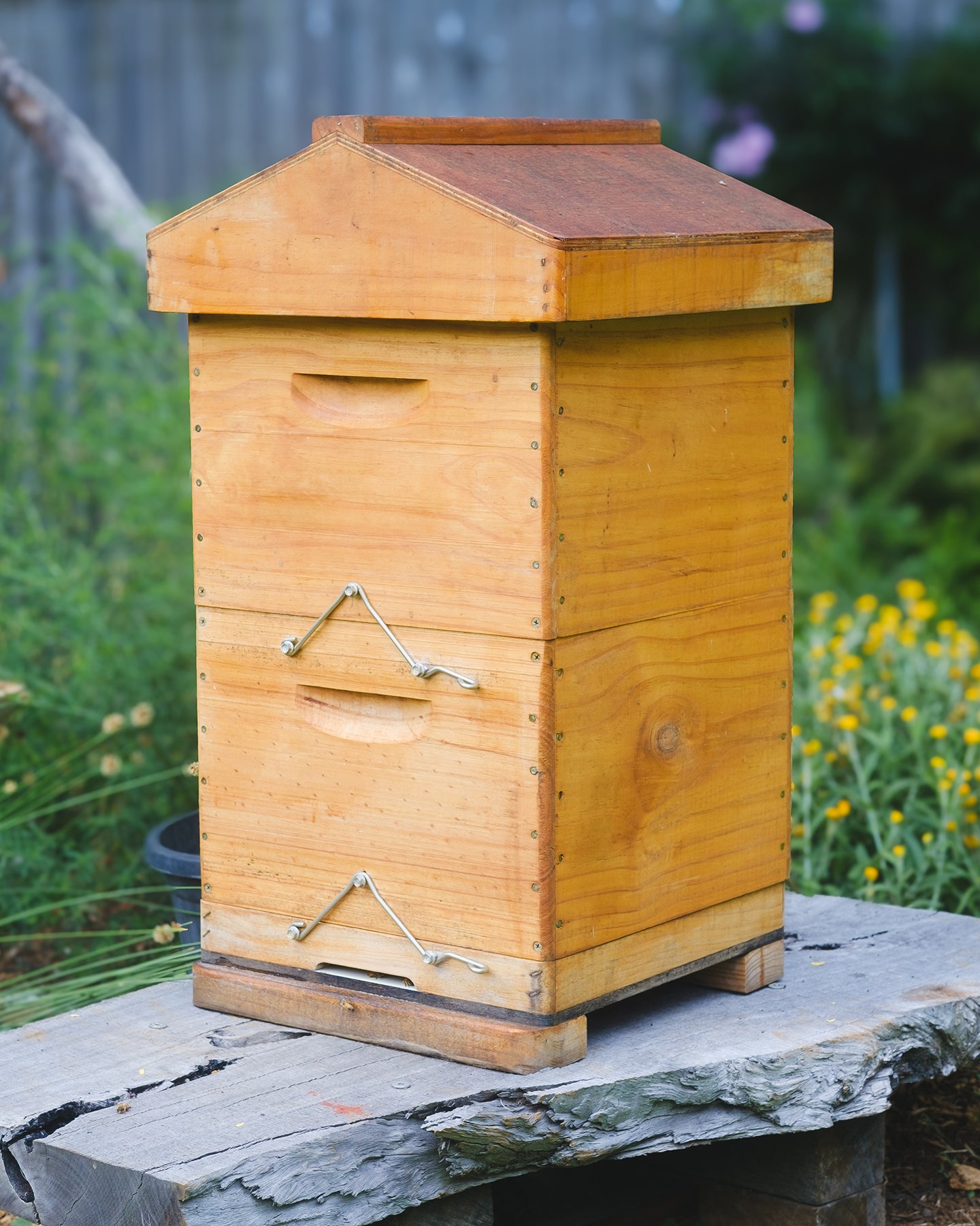 Traditional Langstroth Beehive